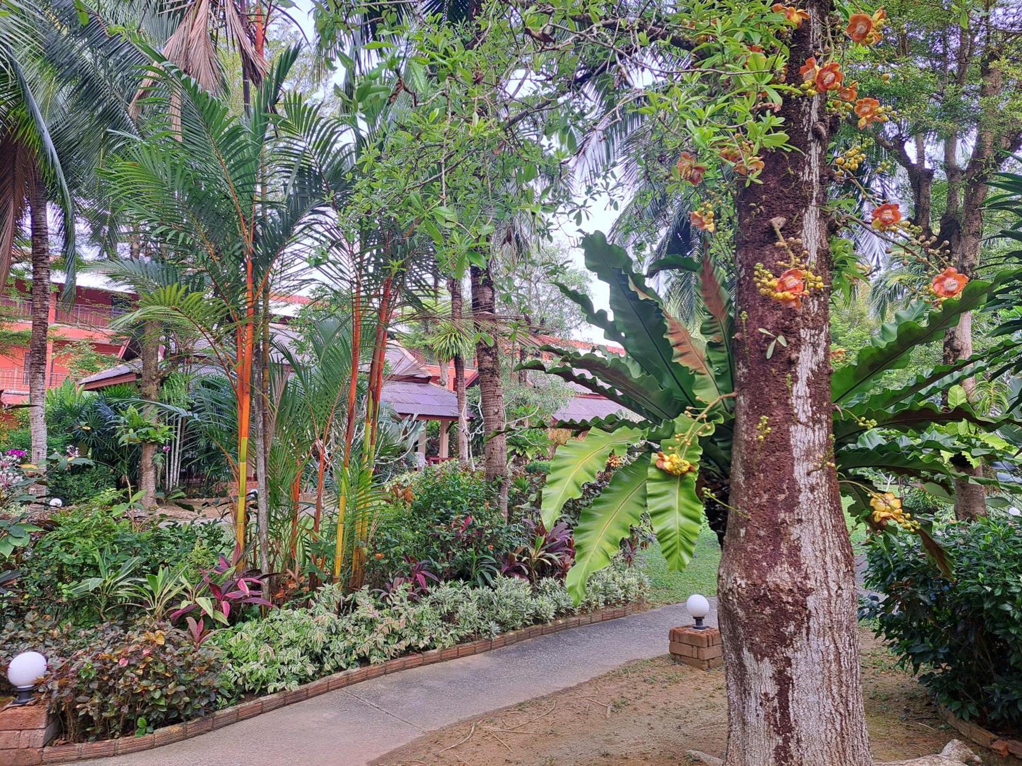 Jasmin Resort - Sha Plus Кхаулак Экстерьер фото